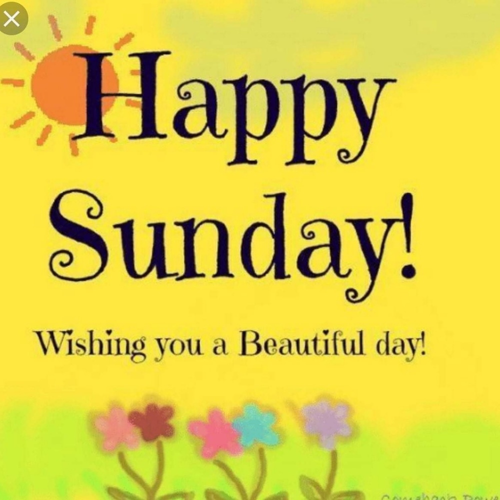 Sunshiney Happy Day